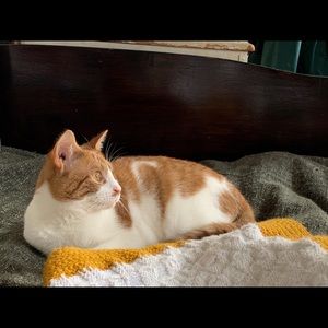 Meet your Posher, Willow